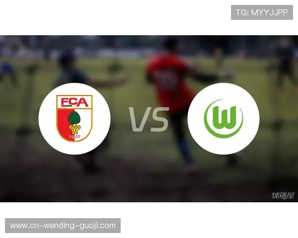 奥格斯堡足球俱乐部发展历程与德甲赛场竞争实力全面解析及未来展望